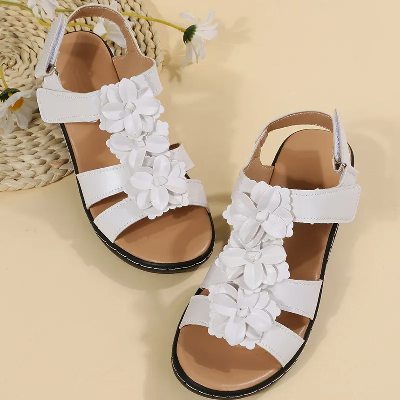 This is a image alt